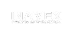 INAMEX
